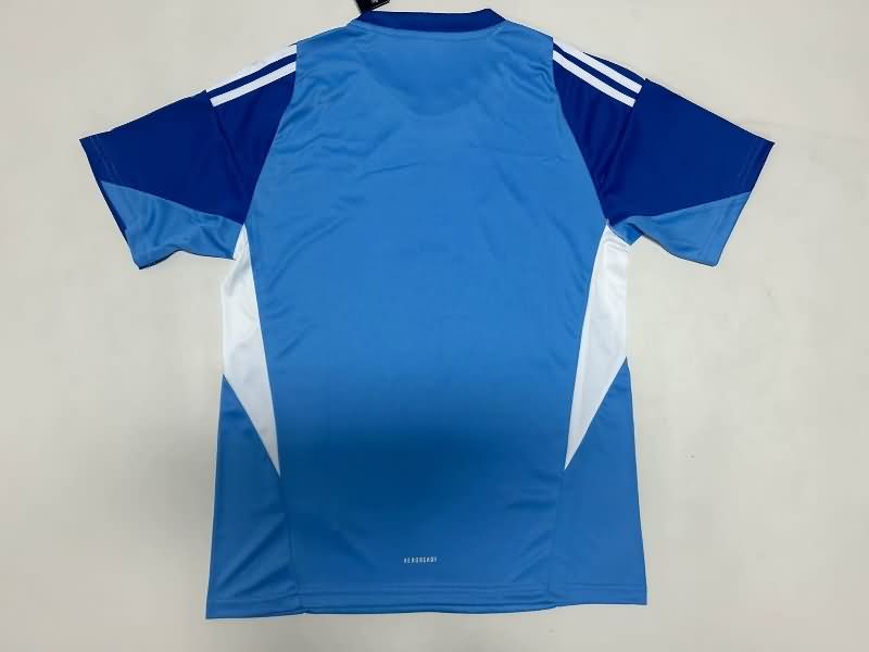 Thailand Quality(AAA) 25/26 Juventus Goalkeeper Blue Soccer Jersey