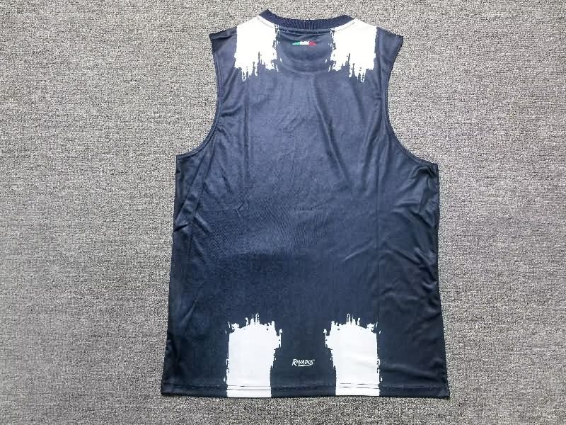 Thailand Quality(AAA) 25/26 Monterrey Training Vest Soccer Jersey