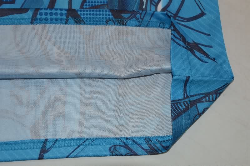 Thailand Quality(AAA) 25/26 Napoli Training Vest Soccer Jersey