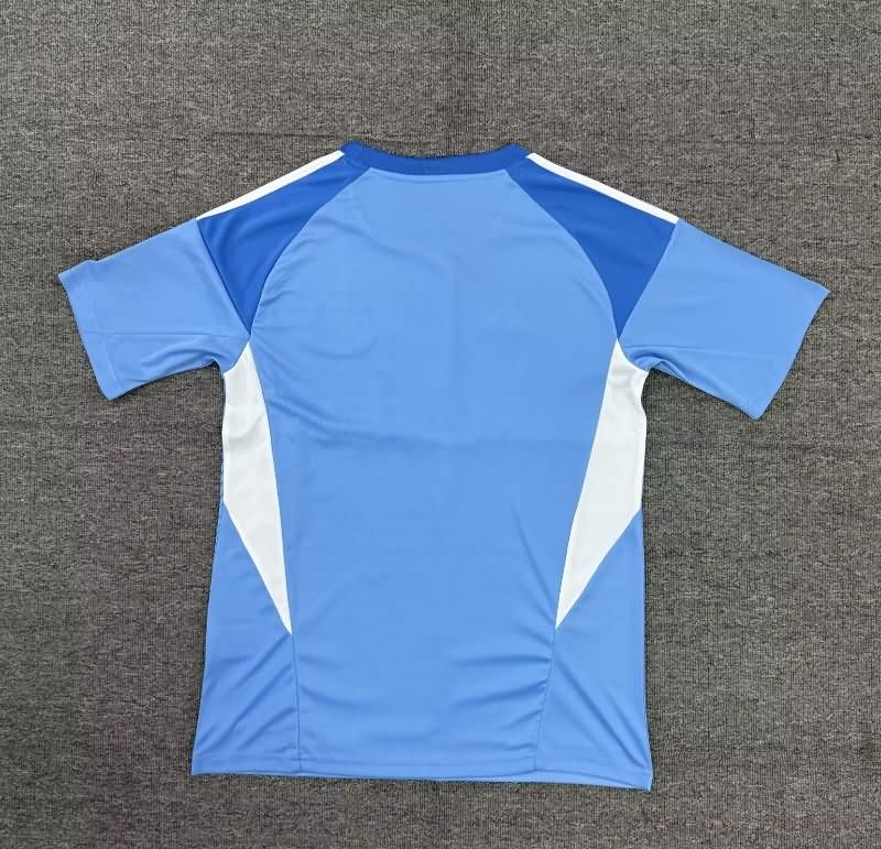 Thailand Quality(AAA) 25/26 Newcastle United Goalkeeper Blue Soccer Jersey