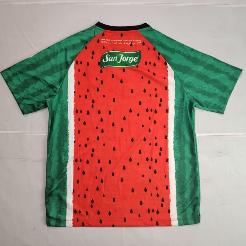 Thailand Quality(AAA) 2025 Palestino Special Soccer Jersey 03