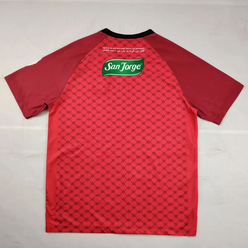Thailand Quality(AAA) 2025 Palestino Special Soccer Jersey 06