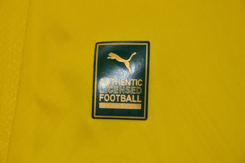 Thailand Quality(AAA) 25/26 Palmeiras Third Soccer Jersey (Player)