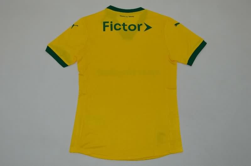 Thailand Quality(AAA) 25/26 Palmeiras Third Soccer Jersey (Player)