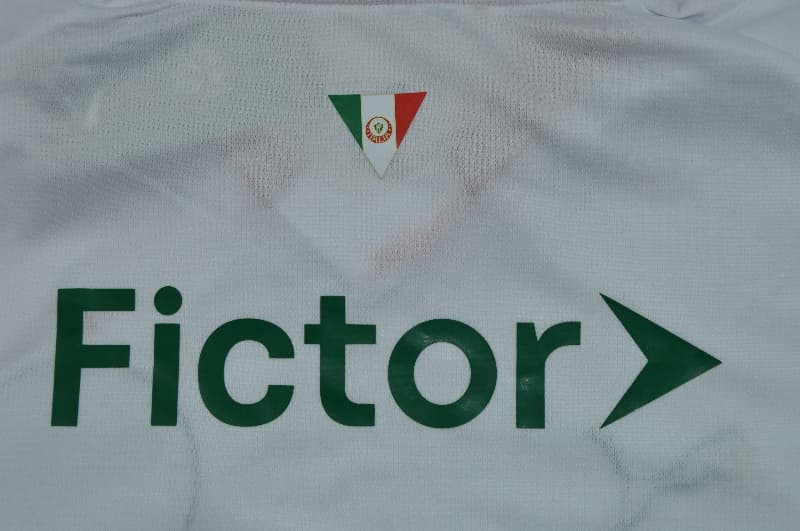 Thailand Quality(AAA) 2026 Palmeiras Away Soccer Jersey