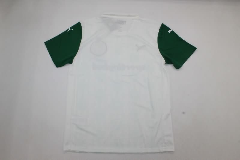 Thailand Quality(AAA) 2025 Palmeiras Away Soccer Jersey