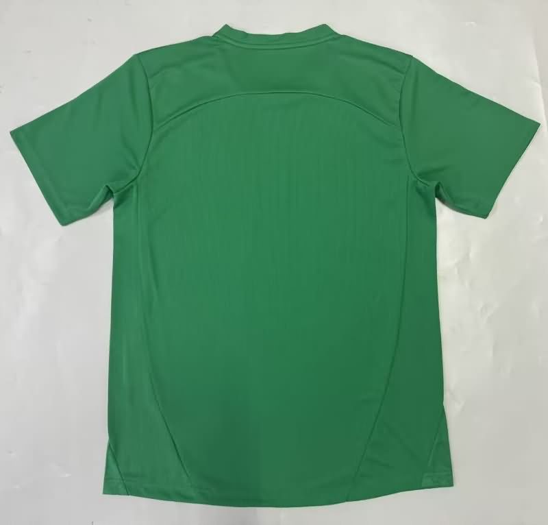 Thailand Quality(AAA) 2025 Palmeiras Goalkeeper Green Soccer Jersey
