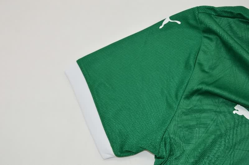 Thailand Quality(AAA) 2025 Palmeiras Home Soccer Jersey (Player)