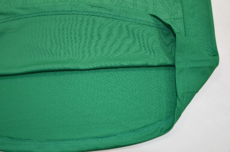 Thailand Quality(AAA) 2025 Palmeiras Home Soccer Jersey (Player)