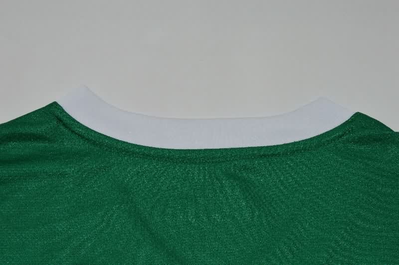 Thailand Quality(AAA) 2025 Palmeiras Home Soccer Jersey (Player)