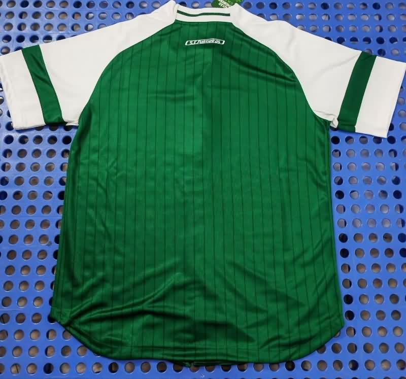 Thailand Quality(AAA) 2025 Palmeiras Green Baseball Jersey