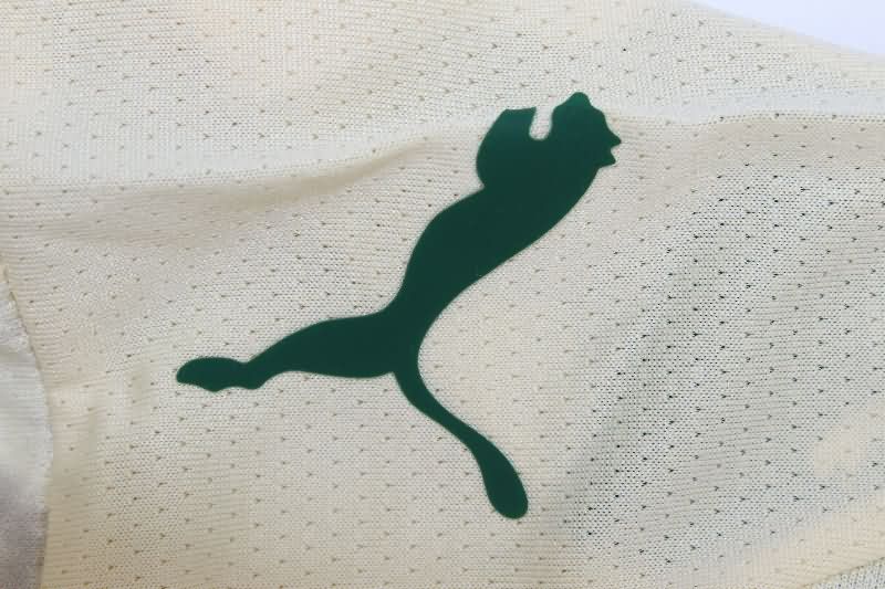 Thailand Quality(AAA) 2025 Palmeiras Third Soccer Jersey (Player)