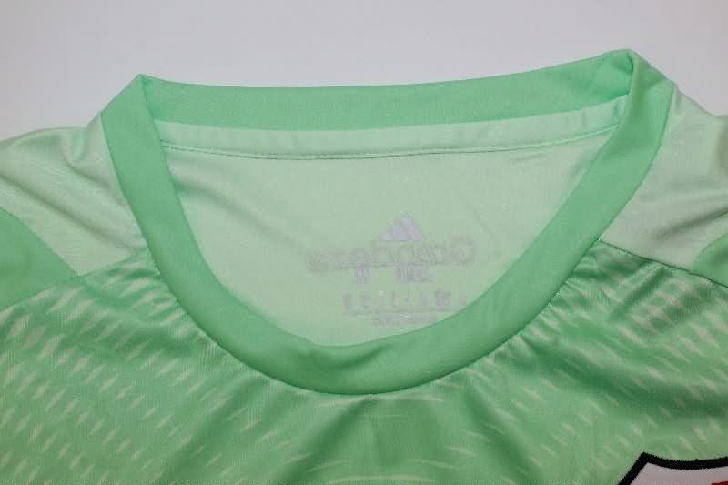 Thailand Quality(AAA) 2025 River Plate Goalkeeper Green Soccer Jersey