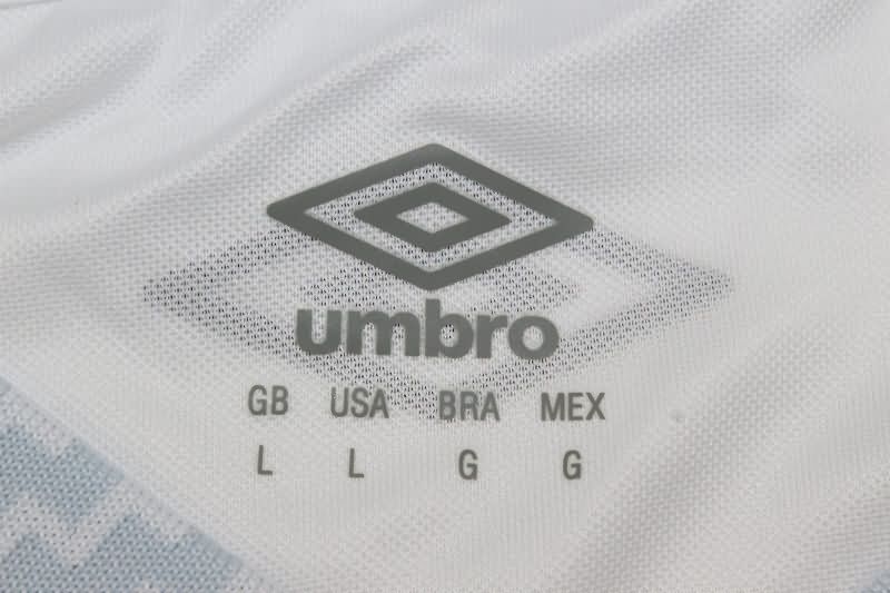 Thailand Quality(AAA) 2025 Santos Home Soccer Jersey