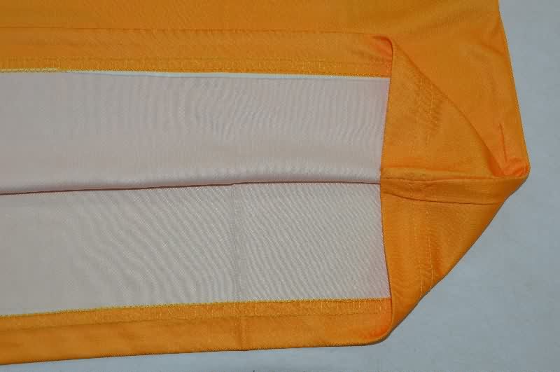 Thailand Quality(AAA) 25/26 Tigres UANL Training Vest Soccer Jersey