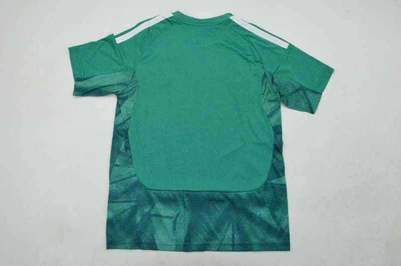 2026 Germany World Cup Goalkeeper Green Kids Soccer Jersey And Shorts