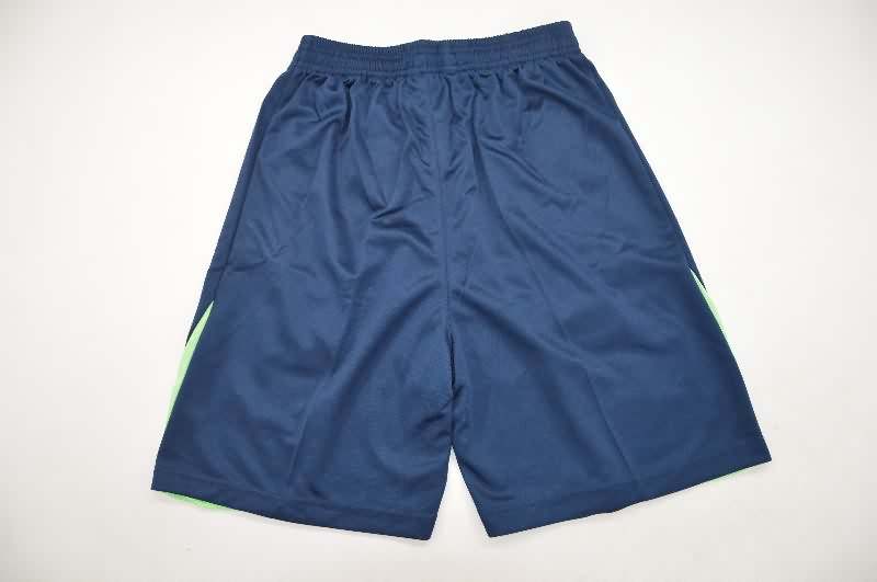 Thailand Quality(AAA) 2026 Brazil Training Soccer Shorts