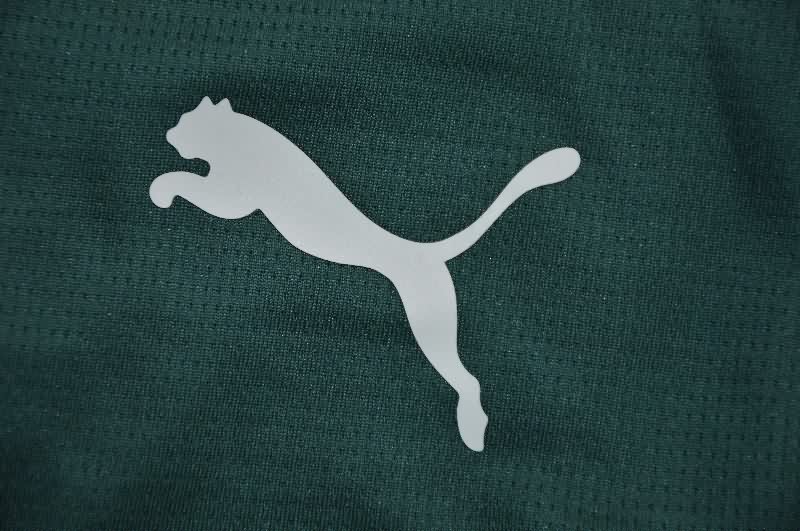 Thailand Quality(AAA) 25/26 Manchester City Fourth Soccer Shorts