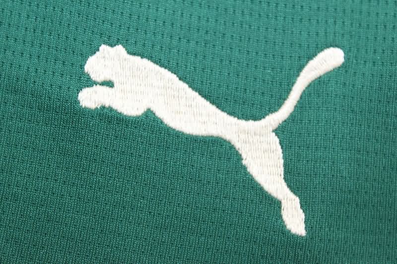 Thailand Quality(AAA) 2025 Portugal Home Soccer Shorts