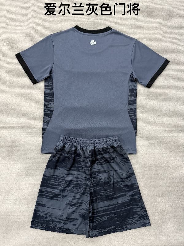2026 Ireland Goalkeeper Grey Soccer Jersey