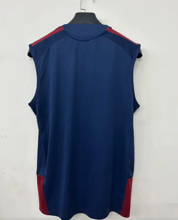Thailand Quality(AAA) 26/27 Arsenal Training Vest Soccer Jersey