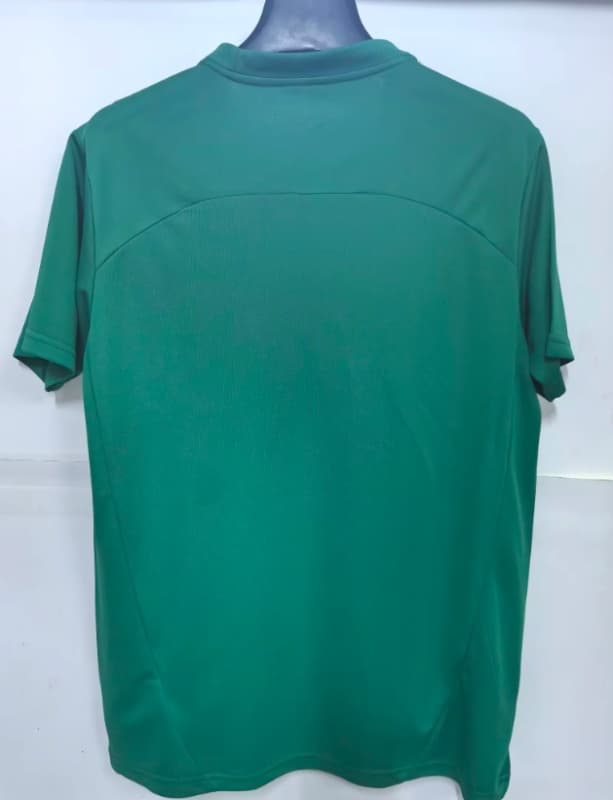 Thailand Quality(AAA) 2026 Fluminense Training Soccer Jersey