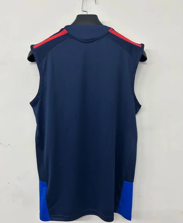 Thailand Quality(AAA) 26/27 Lyon Training Vest Soccer Jersey