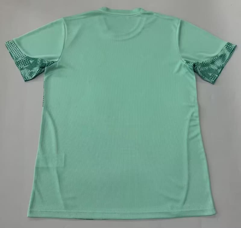 Thailand Quality(AAA) 2026 Palmeiras Training Soccer Jersey