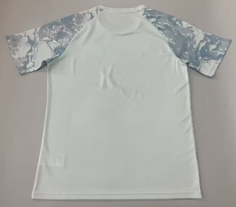 Thailand Quality(AAA) 2026 Palmeiras Training Soccer Jersey 02