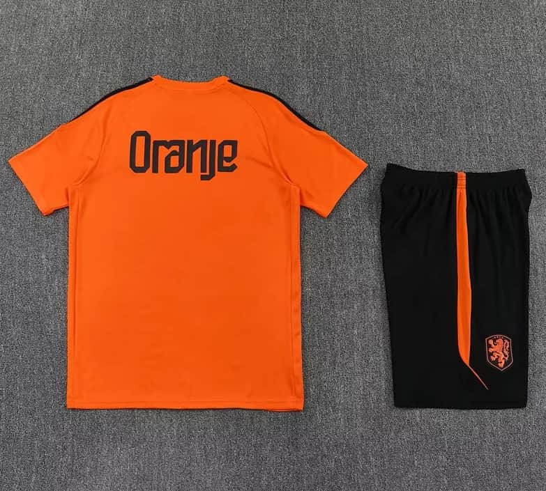 Thailand Quality(AAA) 2026 Netherlands Orange Soccer Training Sets