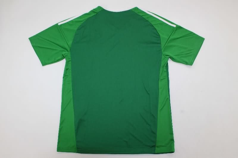 Thailand Quality(AAA) 2025 Argentina Goalkeeper Green Soccer Jersey