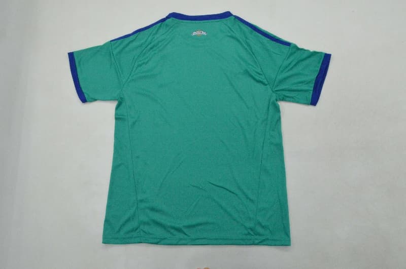 Thailand Quality(AAA) 2026 Argentina World Cup Goalkeeper Green Soccer Jersey