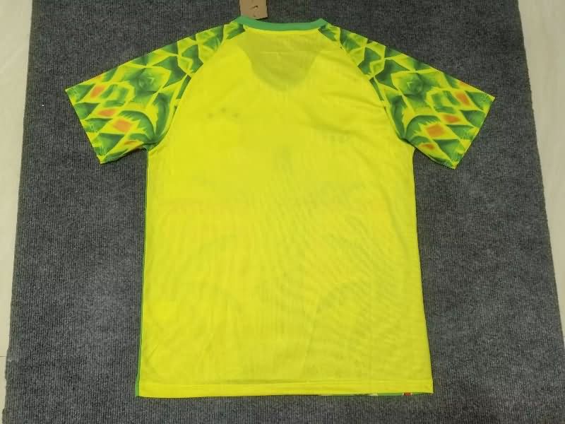 Thailand Quality(AAA) 2025 Brazil Special Soccer Jersey 16
