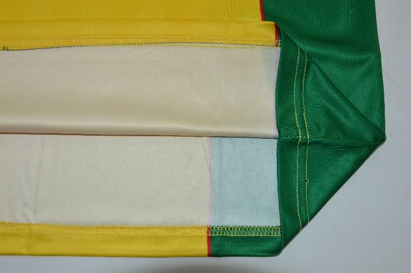 Thailand Quality(AAA) 2025 Brazil Training Soccer Jersey