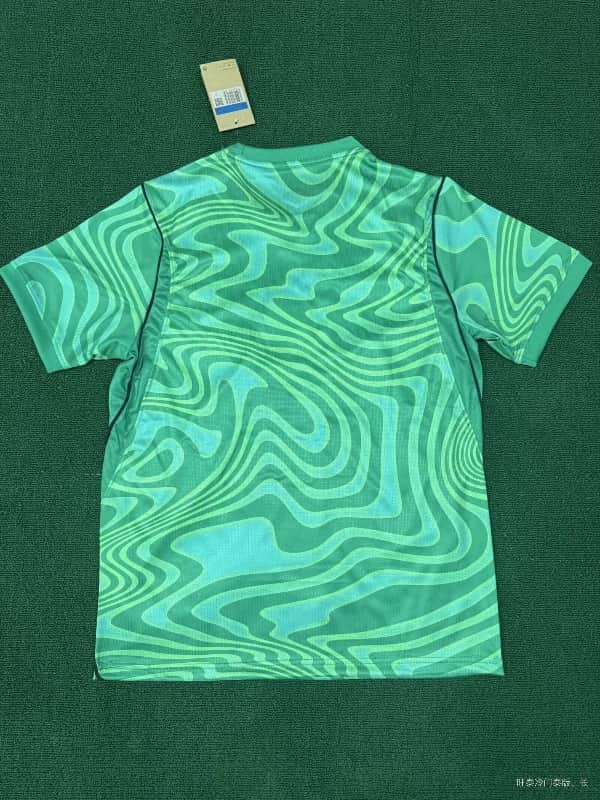 Thailand Quality(AAA) 2026 Brazil Goalkeeper Green Soccer Jersey 02