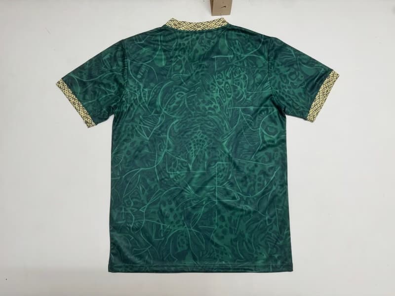 Thailand Quality(AAA) 2026 Brazil Special Soccer Jersey 13