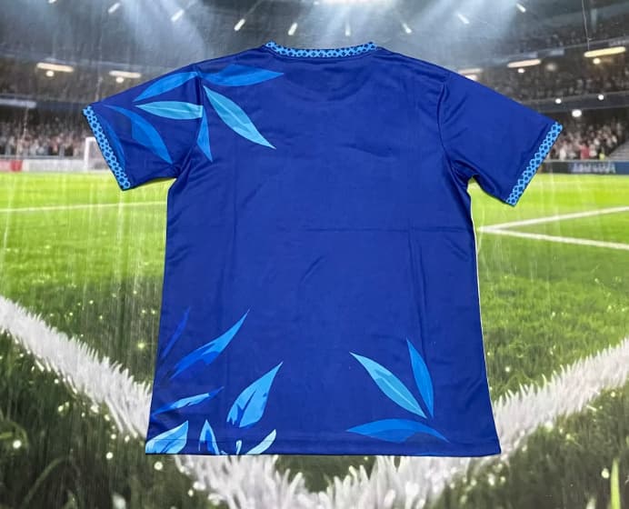 Thailand Quality(AAA) 2026 Brazil Special Soccer Jersey 14