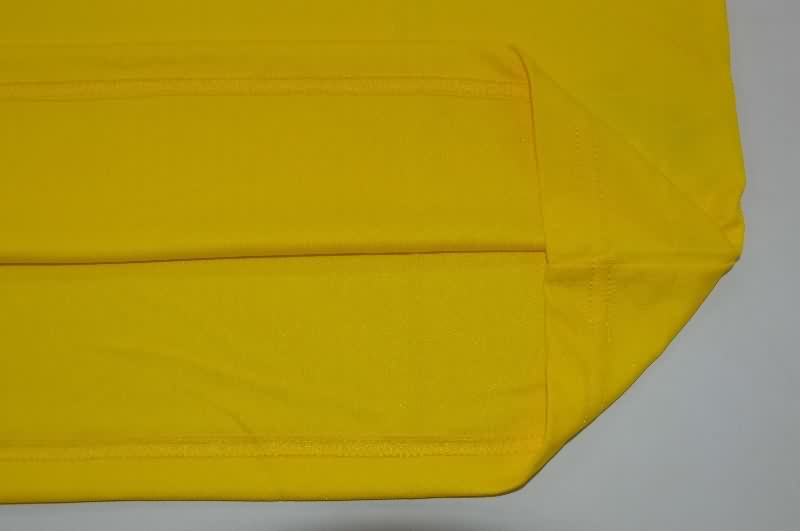 Thailand Quality(AAA) 2026 Brazil Training Vest Soccer Jersey