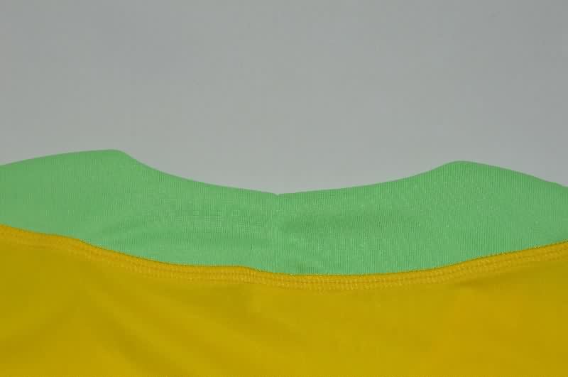 Thailand Quality(AAA) 2026 Brazil Training Vest Soccer Jersey