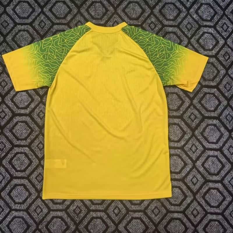 Thailand Quality(AAA) 25/26 Burkina Faso Special Soccer Jersey