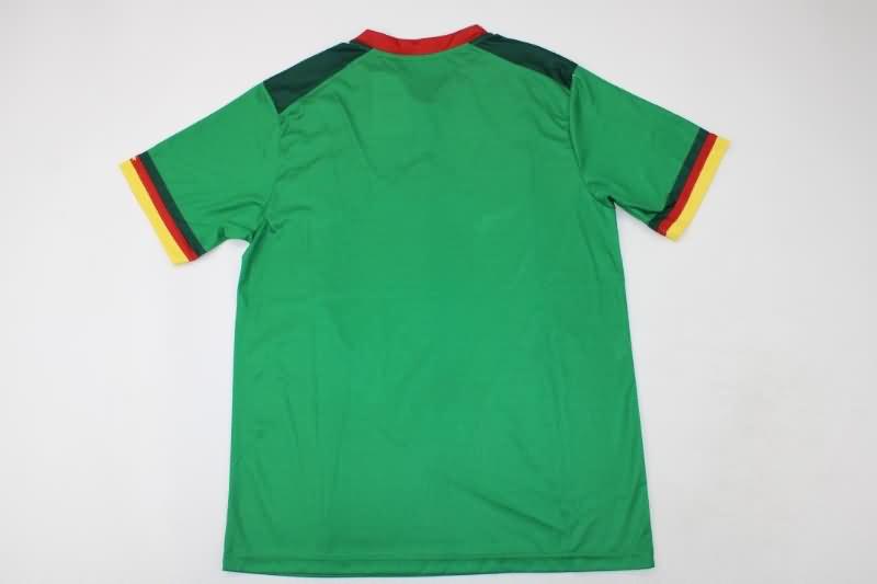 Thailand Quality(AAA) 2022 World Cup Cameroon Home Soccer Jersey