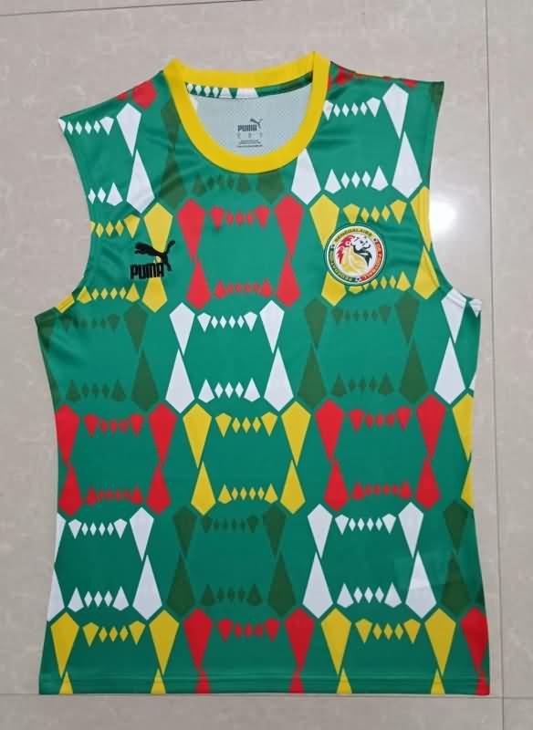 Thailand Quality(AAA) 2023/24 Cameroon Training Vest Soccer Jersey