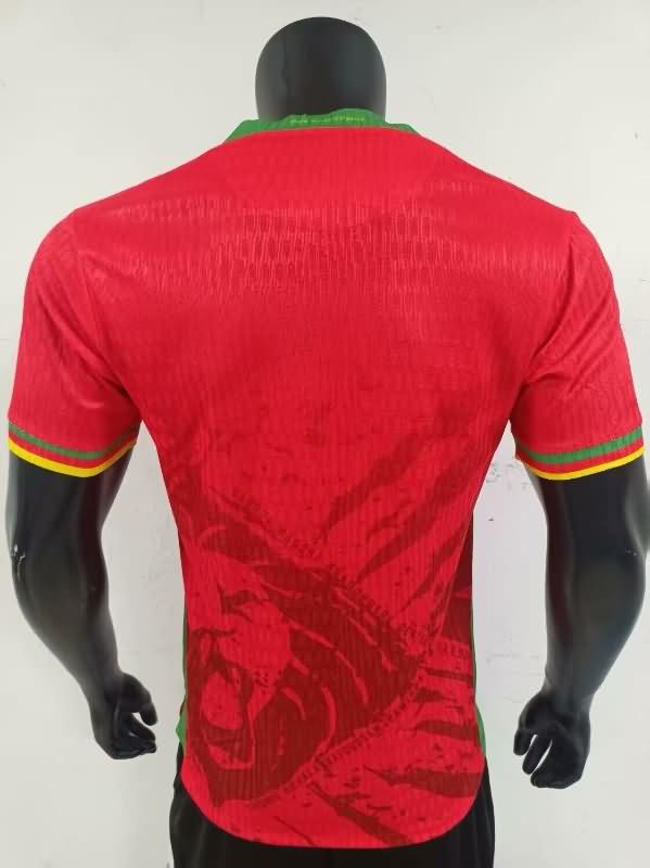 Thailand Quality(AAA) 2025 Cameroon Third Soccer Jersey (Player)