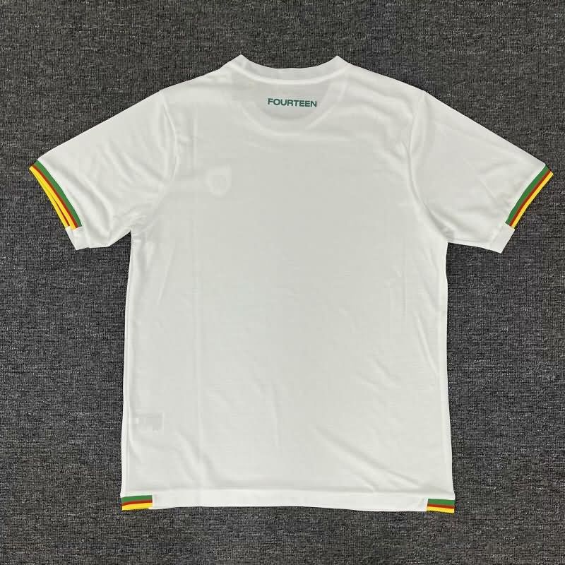 Thailand Quality(AAA) 2025 Cameroon Training Soccer Jersey 05