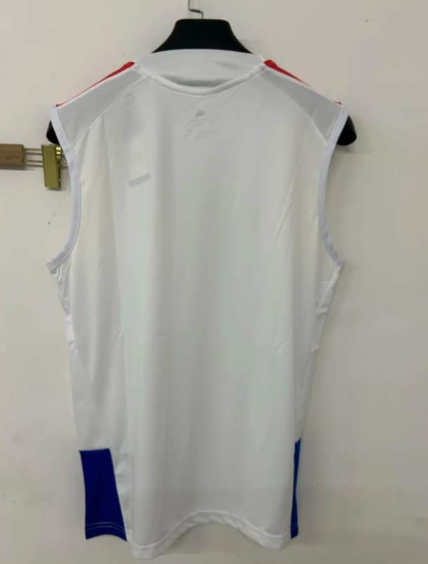 Thailand Quality(AAA) 2026 Colombia Training Vest Soccer Jersey