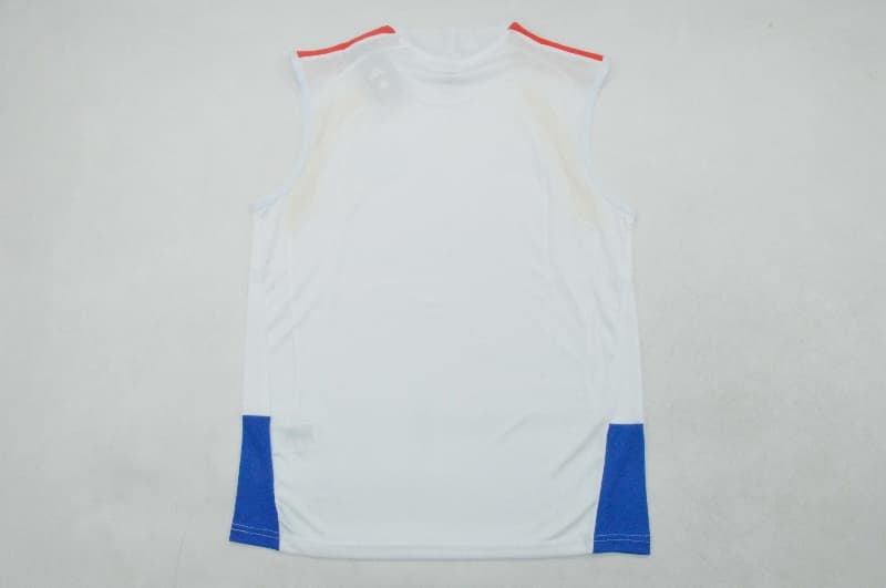 Thailand Quality(AAA) 2026 Colombia Training Vest Soccer Jersey