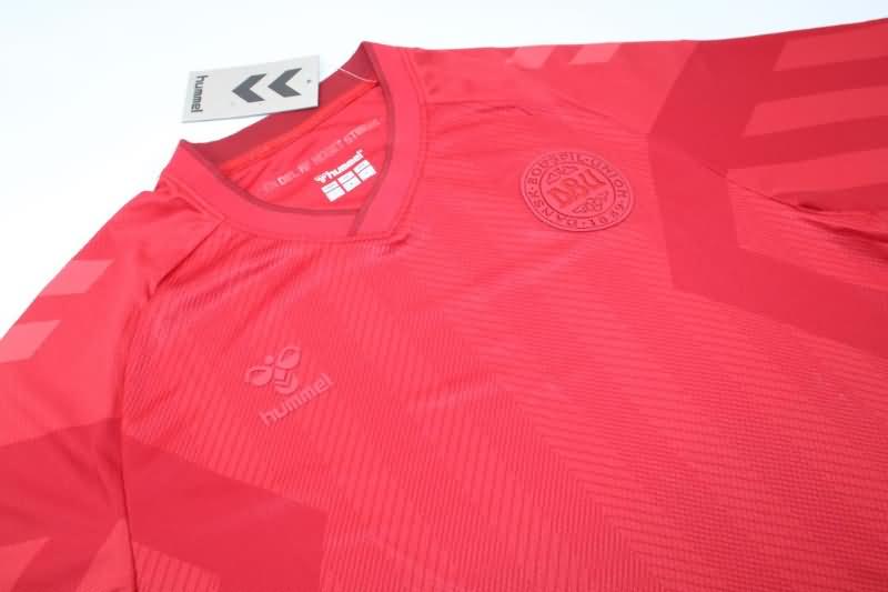 Thailand Quality(AAA) 2022 World Cup Denmark Home Soccer Jersey