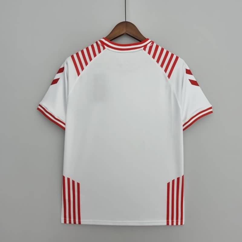 Thailand Quality(AAA) 2022 Danmark Special Soccer Jersey