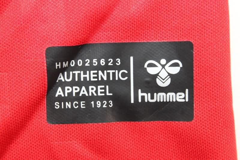 Thailand Quality(AAA) 2024 Denmark Home Soccer Jersey