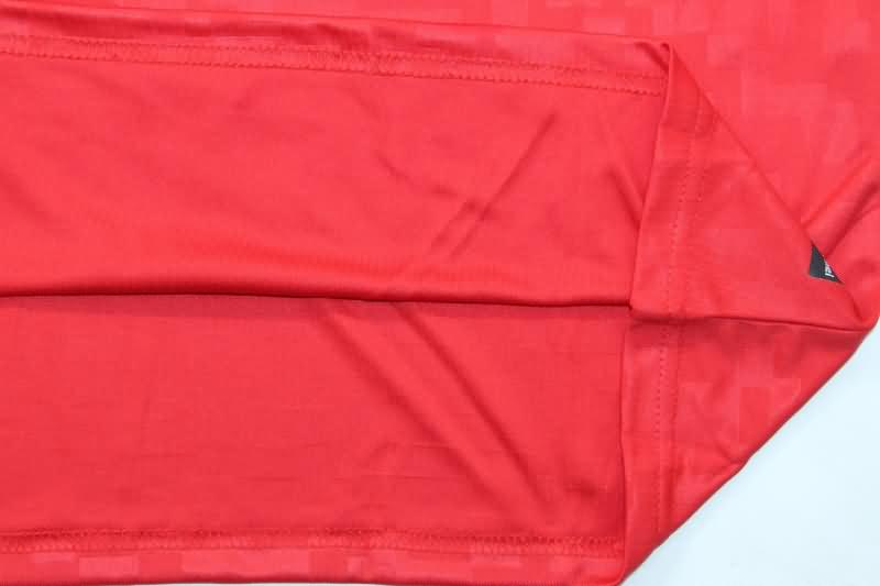 Thailand Quality(AAA) 2024 Denmark Home Soccer Jersey